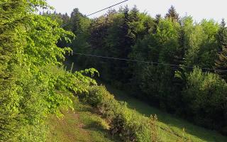 Laskowa pośredni - 13-05-2026 04:53