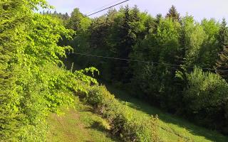Laskowa pośredni - 13-05-2026 05:04