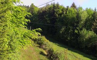 Laskowa pośredni - 13-05-2026 05:15
