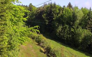 Laskowa pośredni - 13-05-2026 05:48