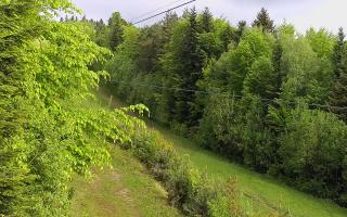 Laskowa pośredni - 13-05-2026 06:10