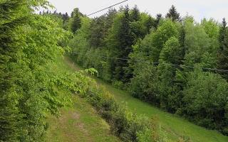 Laskowa pośredni - 13-05-2026 06:21
