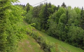 Laskowa pośredni - 13-05-2026 06:43