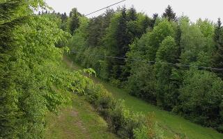 Laskowa pośredni - 13-05-2026 06:54