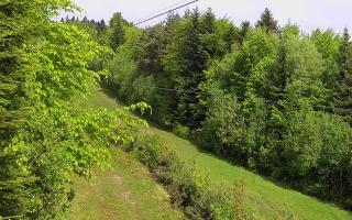 Laskowa pośredni - 13-05-2026 07:05