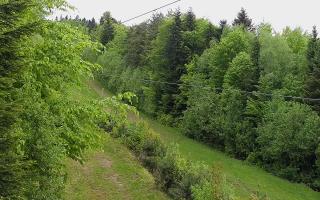 Laskowa pośredni - 13-05-2026 07:15