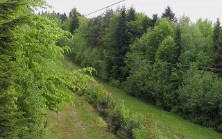 Laskowa pośredni - 13-05-2026 07:26