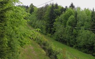 Laskowa pośredni - 13-05-2026 07:37