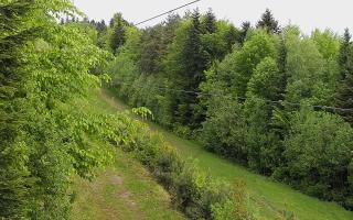 Laskowa pośredni - 13-05-2026 07:48