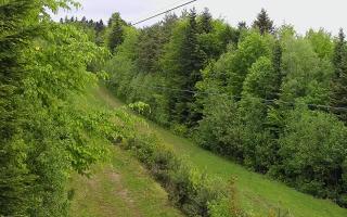 Laskowa pośredni - 13-05-2026 08:10