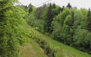 Laskowa pośredni - 13-05-2026 08:21