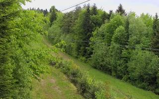 Laskowa pośredni - 13-05-2026 08:32