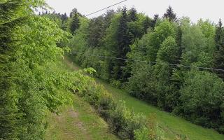 Laskowa pośredni - 13-05-2026 08:43