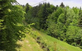 Laskowa pośredni - 13-05-2026 09:05