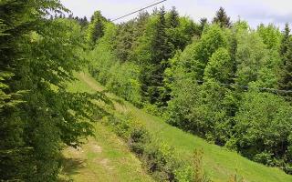 Laskowa pośredni - 13-05-2026 09:16