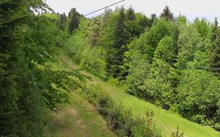 Laskowa pośredni - 13-05-2026 09:27