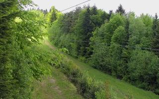 Laskowa pośredni - 13-05-2026 09:38