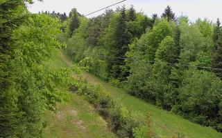 Laskowa pośredni - 13-05-2026 09:49