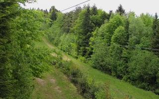 Laskowa pośredni - 13-05-2026 10:00