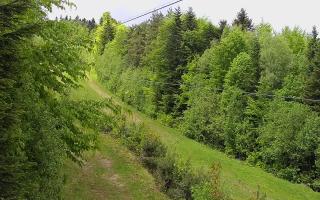 Laskowa pośredni - 13-05-2026 10:22