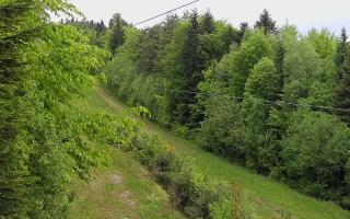 Laskowa pośredni - 13-05-2026 10:33