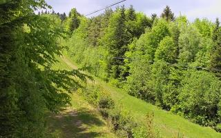 Laskowa pośredni - 13-05-2026 10:44