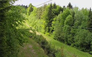 Laskowa pośredni - 13-05-2026 10:55