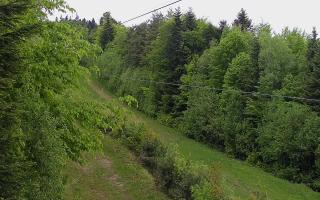 Laskowa pośredni - 13-05-2026 11:06