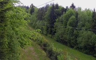 Laskowa pośredni - 13-05-2026 11:17