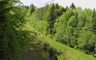Laskowa pośredni - 13-05-2026 11:28