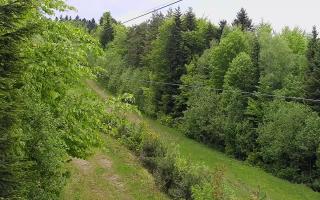 Laskowa pośredni - 13-05-2026 11:39