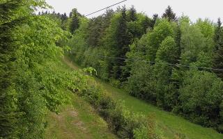 Laskowa pośredni - 13-05-2026 11:50