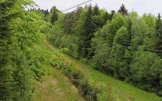Laskowa pośredni - 13-05-2026 12:01