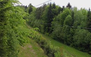 Laskowa pośredni - 13-05-2026 12:12