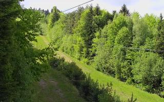Laskowa pośredni - 13-05-2026 12:34