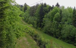 Laskowa pośredni - 13-05-2026 13:07