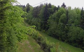 Laskowa pośredni - 13-05-2026 13:18