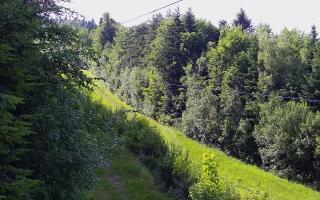 Laskowa pośredni - 12-06-2026 15:03