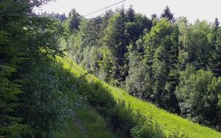 Laskowa pośredni - 12-06-2026 15:14