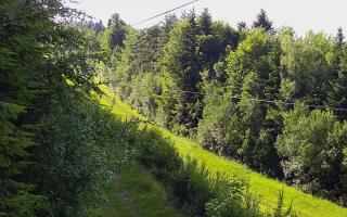 Laskowa pośredni - 12-06-2026 15:25