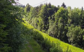 Laskowa pośredni - 12-06-2026 15:36