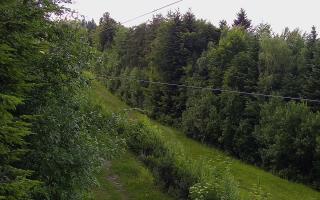 Laskowa pośredni - 12-06-2026 15:47
