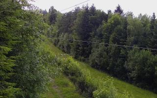 Laskowa pośredni - 12-06-2026 15:58
