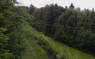 Laskowa pośredni - 12-06-2026 16:09