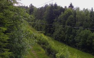 Laskowa pośredni - 12-06-2026 16:20