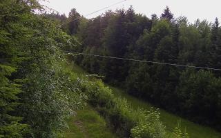 Laskowa pośredni - 12-06-2026 16:31