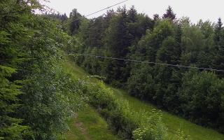 Laskowa pośredni - 12-06-2026 16:42