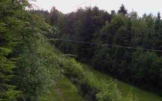 Laskowa pośredni - 12-06-2026 16:53