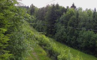 Laskowa pośredni - 12-06-2026 17:04