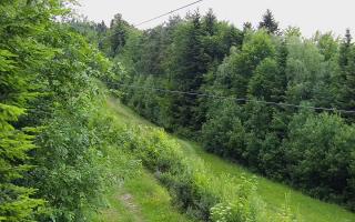 Laskowa pośredni - 12-06-2026 17:48